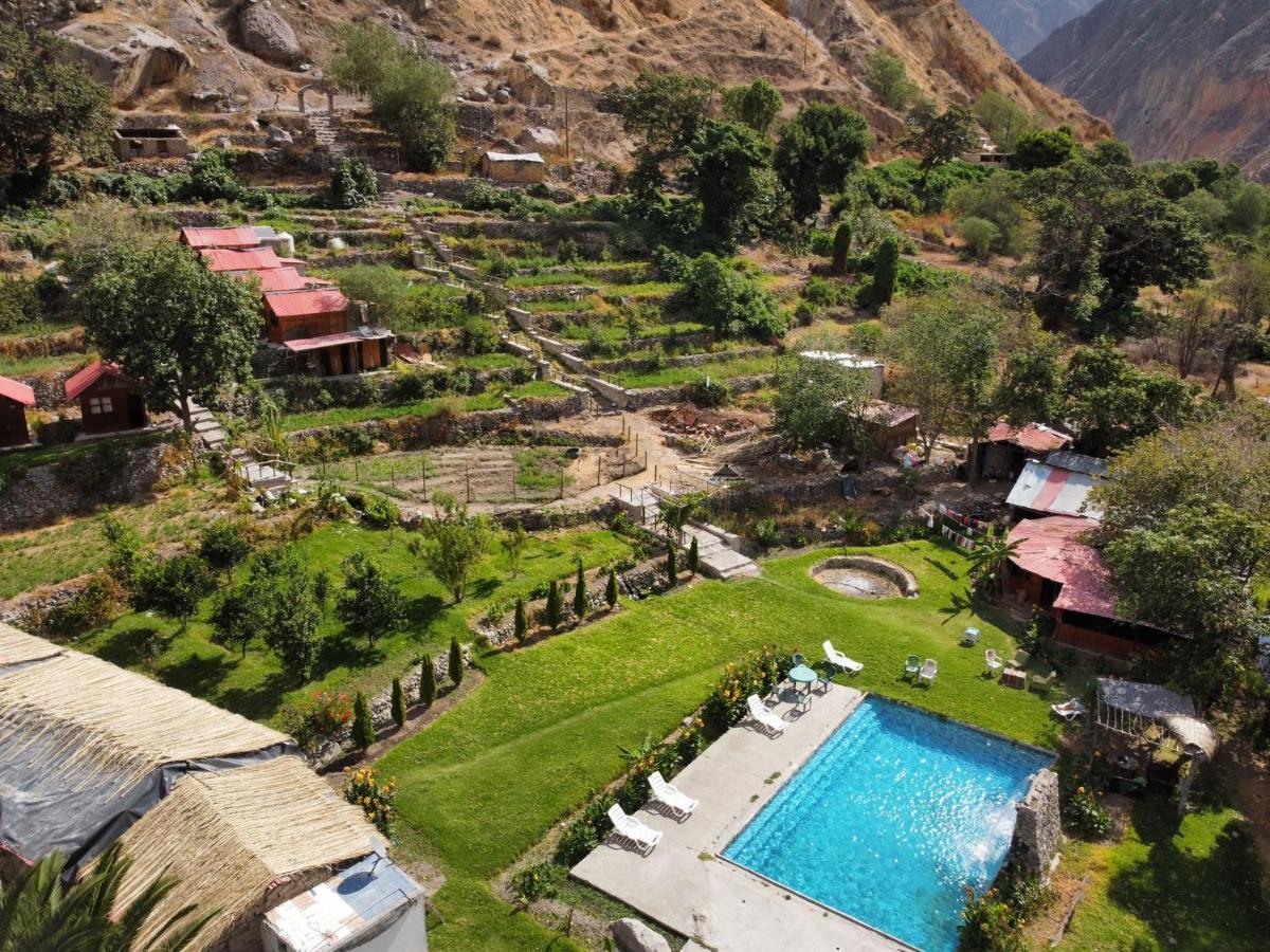 Oasis Paraiso Ecolodge Cabanaconde Eksteriør billede