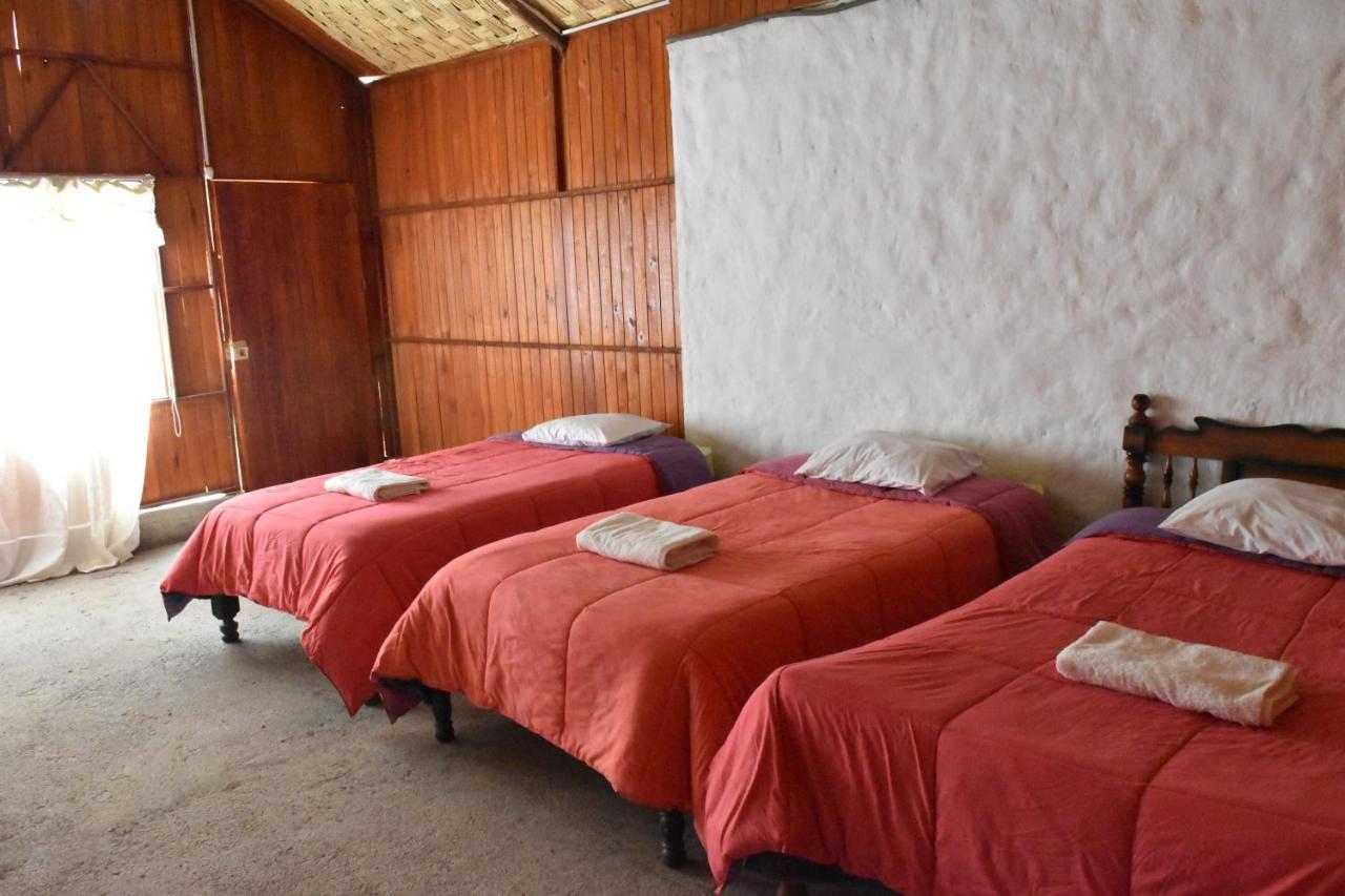 Oasis Paraiso Ecolodge Cabanaconde Eksteriør billede