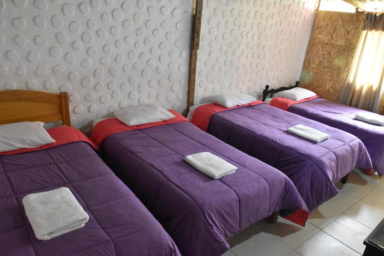 Oasis Paraiso Ecolodge Cabanaconde Eksteriør billede